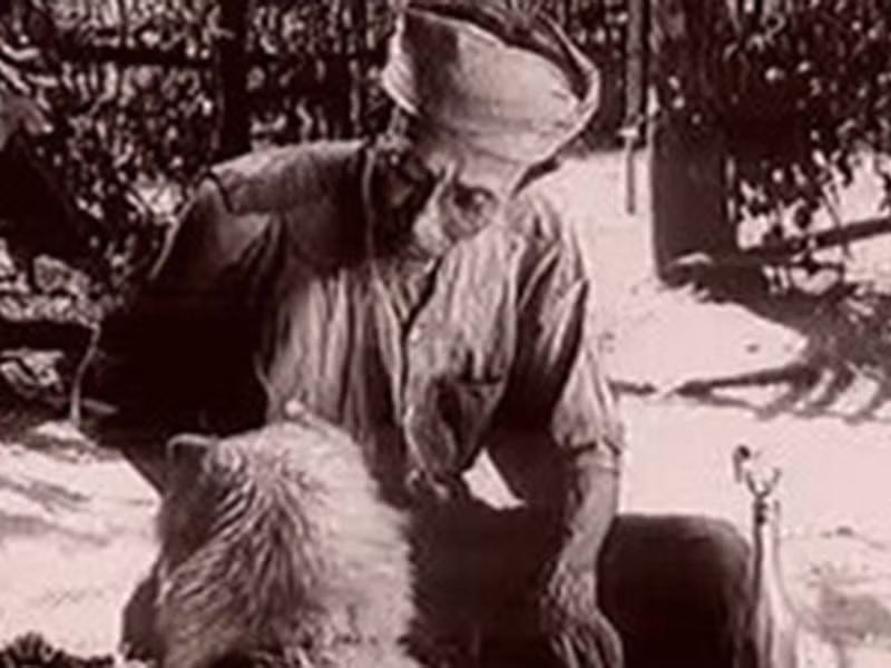 Thực tế, có không ít chú chó ta khi đóng phim đã được nhiều khán giả yêu thích. Có thể kể đến chú chó ta đóng vai "Cậu Vàng" trong "Làng Vũ Đại ngày ấy" lên sóng năm 1982. Chú chó này lấy được nước mắt của người xem khi diễn xuất sắc phân cảnh bị bắt. Ảnh: Vietnamnet