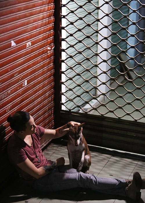 Lương Mạnh Hải chia sẻ về chú chó Kiki: “Bạn diễn tuyệt vời nhất của tôi trong suốt 27 ngày quay đó là Kiki, chú chó miền Tây đúng là sinh ra để đóng phim. Tính ra vai trò của Kiki trong phim không khác gì một nhân vật thứ chính. Cảnh quay đầu tiên của tôi với Kiki chỉ một đúp là xong khiến cả đoàn rất choáng vì sự hợp tác rất ăn ý này”. Ảnh: Thương hiệu&amp; công luận