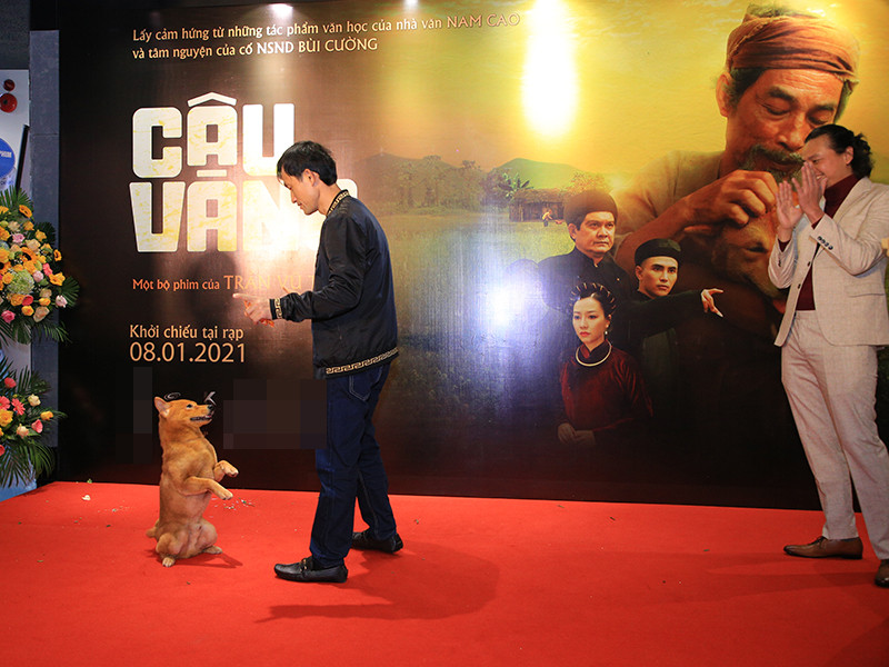 "Cậu Vàng" biểu diễn tài nghệ: đứng bằng hai chân và thoát thân dù bị trói cả tứ chi.