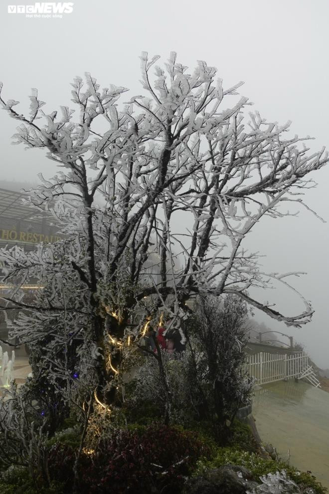 Ảnh hưởng của không khí lạnh tăng cường, đêm qua và sáng sớm nay, miền Bắc rét sâu hơn, nhiệt độ tiếp tục giảm sâu, trời rất lạnh, buốt và khả năng hiện tượng tuyết rơi sẽ sớm xuất hiện ở các vùng núi cao trên 2.000m. (Ảnh: Ngọc Tuấn)