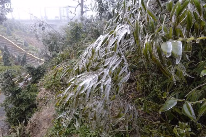 Đỉnh Ô Qúy Hồ là nơi hút gió nên dù nhiệt độ không quá thấp vẫn có hiện tượng đóng băng. (Ảnh: Ngọc Tuấn)