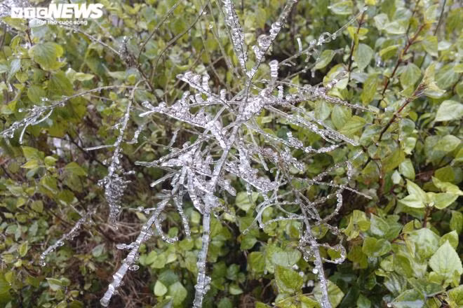 Đây là lần thứ 3 trong khoảng 10 năm trở lại đây, đỉnh Ô Qúy Hồ xuất hiện băng tuyết. (Ảnh: Ngọc Tuấn)