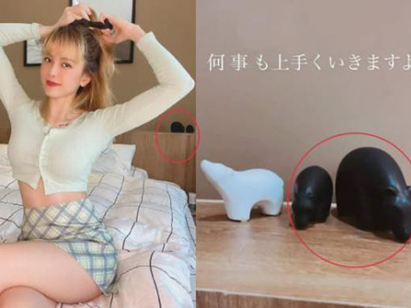 Thiều Bảo Trâm và Sơn Tùng M-TP thậm chí bị nghi sống chung nhà với bằng chứng là sự trùng hợp về đồ vật ở phòng ngủ.