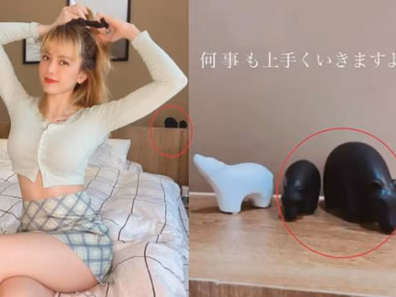 Thiều Bảo Trâm và Sơn Tùng M-TP thậm chí bị nghi sống chung nhà với bằng chứng là sự trùng hợp về đồ vật ở phòng ngủ.