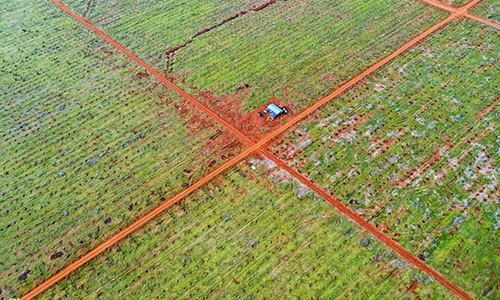 Phat hien nhieu bom min tai mat bang san bay Long Thanh