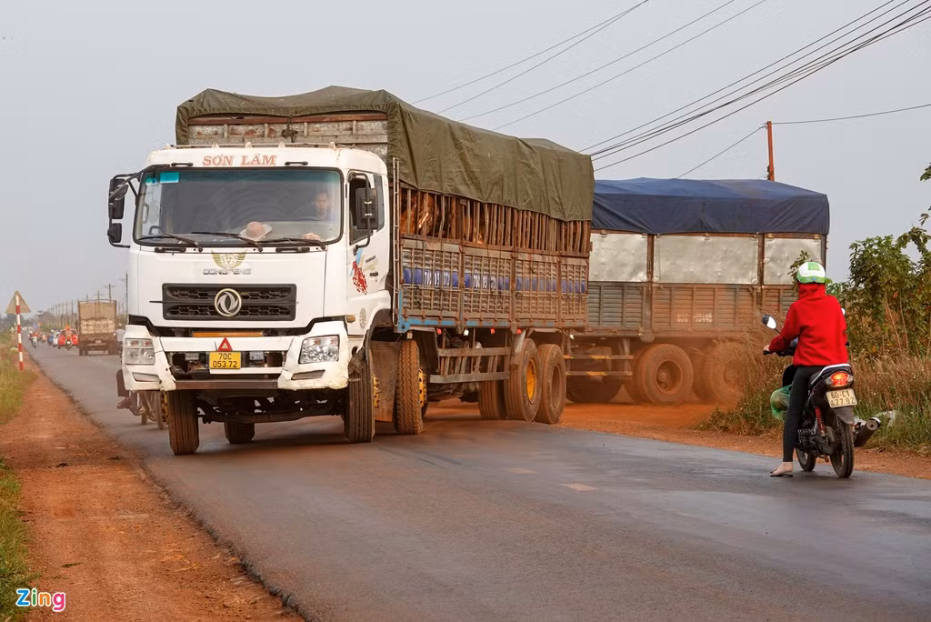 Cây cối được chặt hạ, thu gom và chuyển khỏi công trường bằng xe tải.