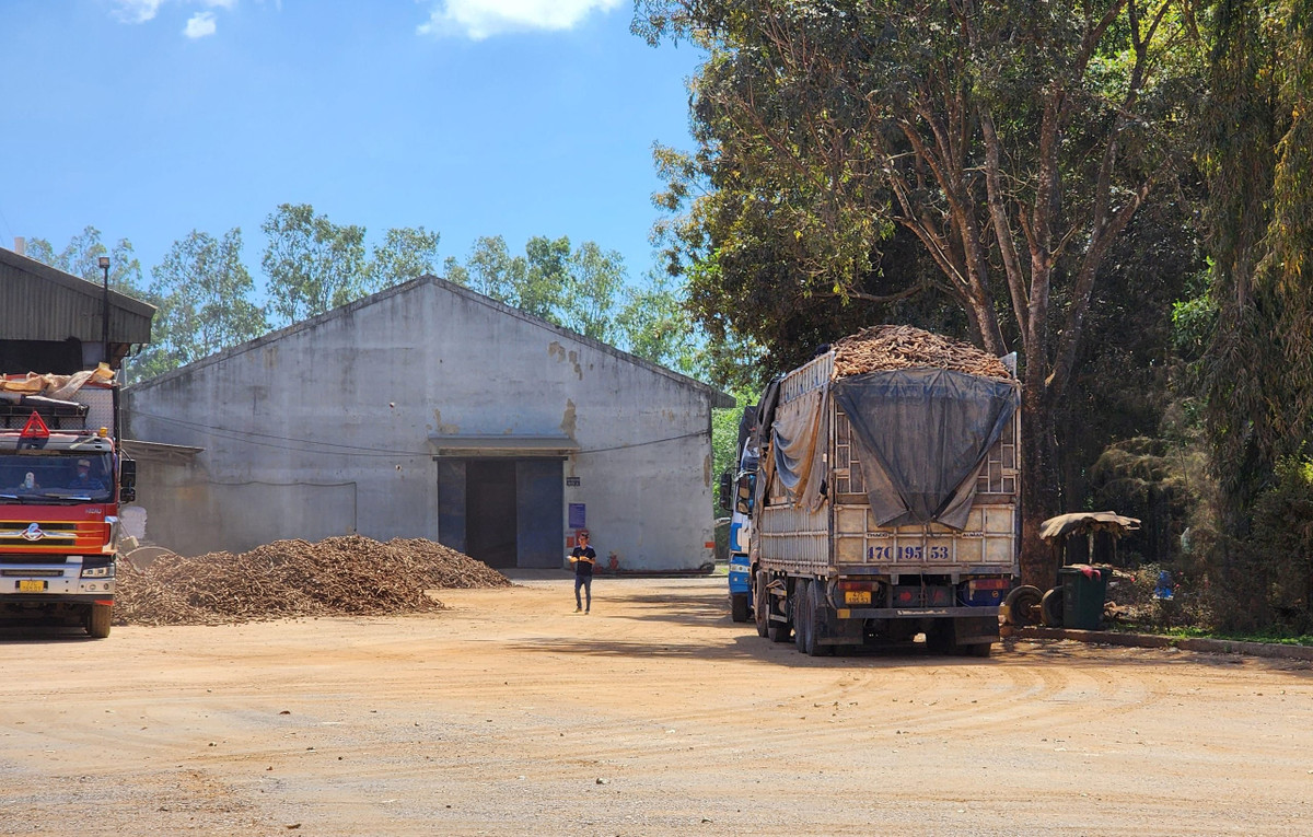 PGĐ Công an Đắk Lắk trực tiếp chỉ đạo xử lý xe quá tải - Hình 2 PGD Cong an Dak Lak truc tiep chi dao xu ly xe qua tai-Hinh-2