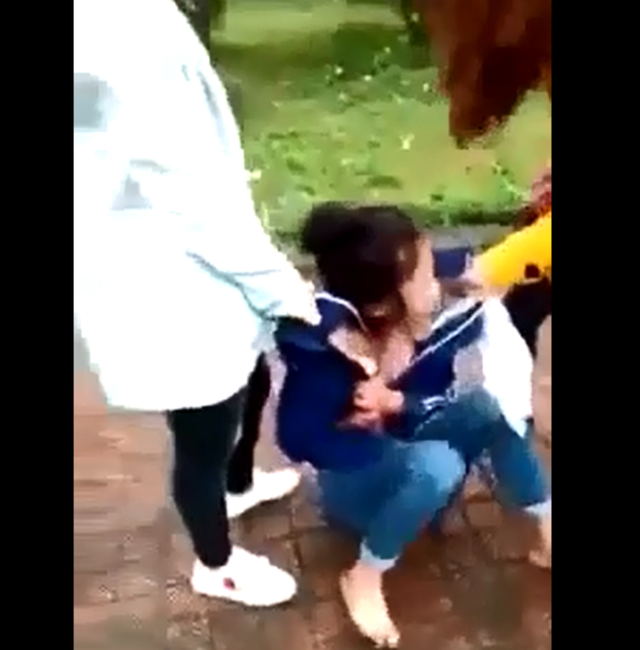 Hình ảnh cắt ra từ video.