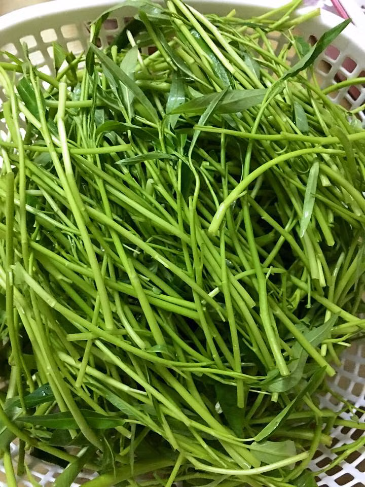 Cách làm nộm rau muống: Rau muống vặt lá rửa sạch để ráo. Đun sôi một nồi nước, thả rau muống vào luộc chín vớt ra rổ để ráo hoặc muốn rau giòn hơn thì các bạn vớt rau ra một bát nước đá nhé.