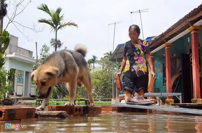 Để tiện cho việc đi lại, những hộ dân này phải bắc từng viên gạch làm đường đi tạm vượt qua dòng nước ngập.