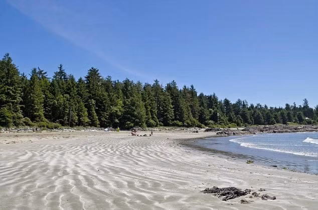 Tuần này, ông Trudeau đã xuất hiện trên bãi biển Chesterma ở Tofino, British Colombia.