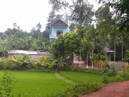 Uan khuc vu vo giet chong roi tao hien truong gia