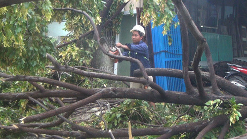 Các ngành chức năng thuộc quận Bình Tân và huyện Bình Chánh điều động lực lượng nỗ lực khắc phục sự cố giông lốc gây hư hại nhiều nhà dân và các công trình giao thông công cộng trên địa bàn.