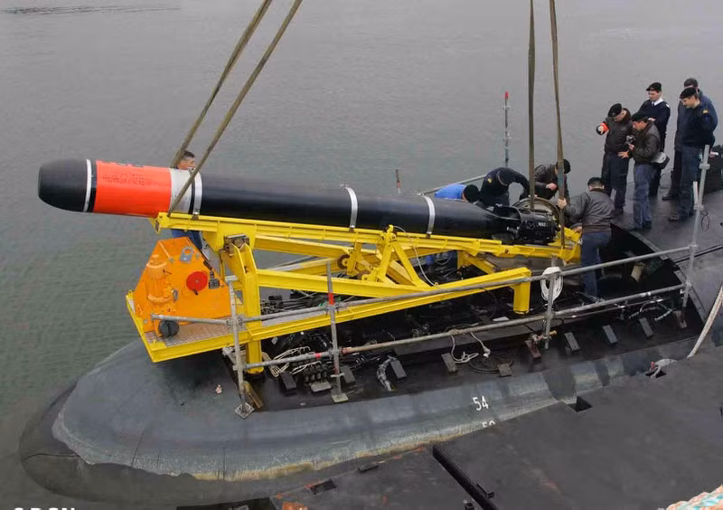 Các ngầm lớp Nagapasa cũng được trang bị vũ trang tối tân bao gồm: ngư lôi Black Shark do Whitehead Sistemi Subacquei của Italia sản xuất , có tốc độ 50 hải lý / giờ (93 km / h; 58 dặm / giờ) và tầm bắn 50 km với 8 ống phóng ngư lôi 533mm.