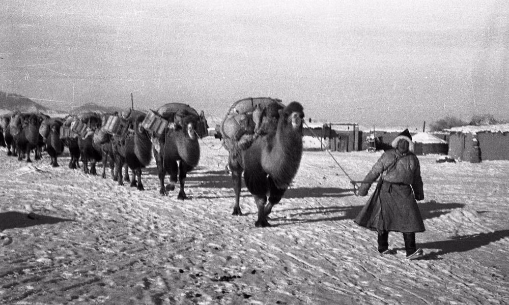 Mông Cổ đã trợ giúp dưới khẩu hiệu, “Không có một người nào trên đất nước không đóng góp cá nhân cho quỹ viện trợ của Hồng quân”, Mông Cổ đã phát động một chiến dịch quyên góp tiền và quà cho các chiến sĩ Hồng Quân quy mô lớn.