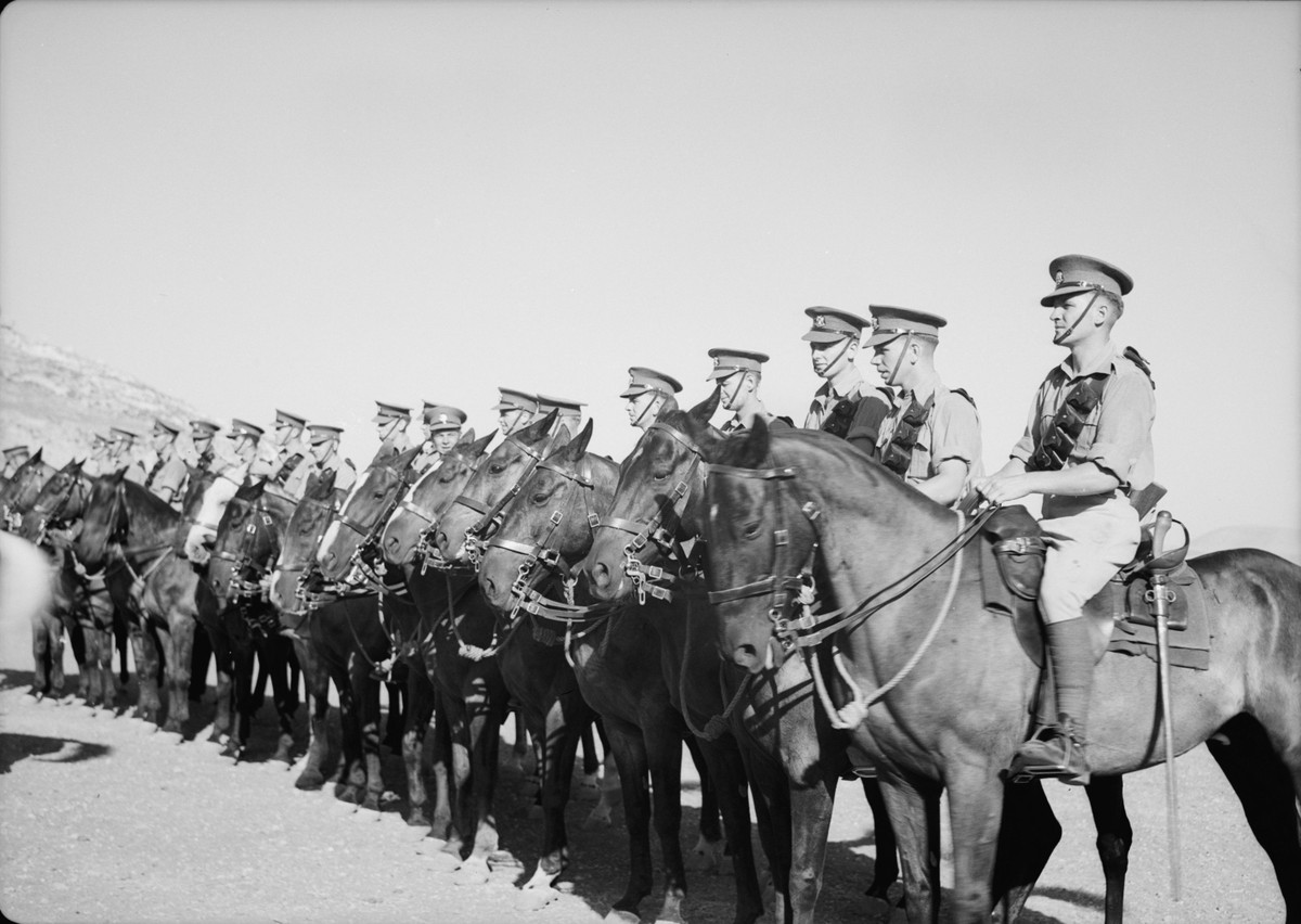 Tính đến tháng 9/1942, trong số hơn 17,5 triệu con ngựa của mình, Liên Xô chỉ còn vẻn vẹn 9 triệu con, một sự hao hụt trầm trọng.