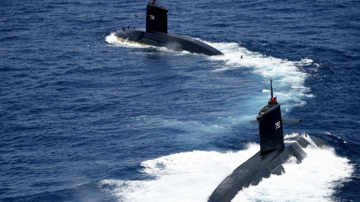 Các tàu ngầm còn lại chính là Hải Long và Hải Hổ, thuộc lớp tàu ngầm Chiến Long do Hà Lan chế tạo trong giai đoạn 1982-1986, hoạt động chính thức từ 1987-nay.