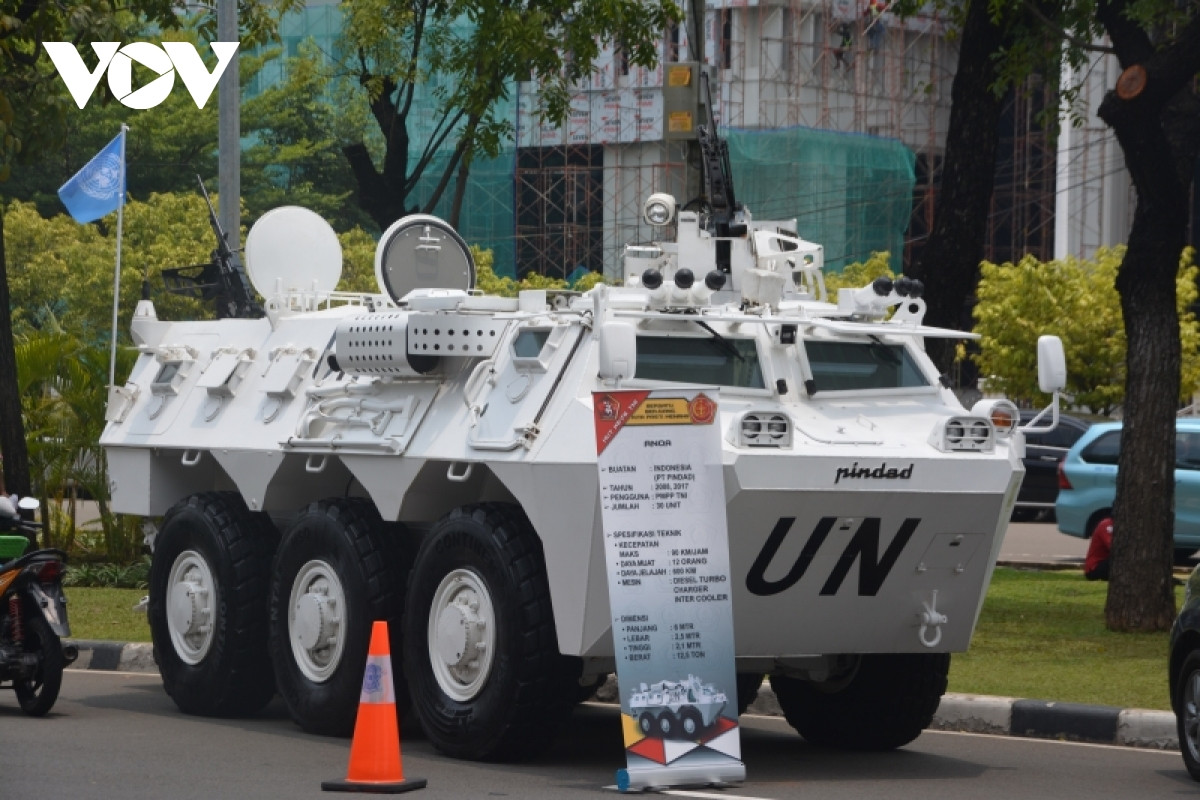 Xe chuyên chở lính Anoa. Ảnh: vov.vn