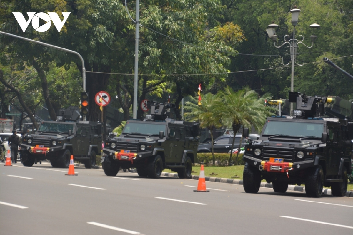 Xe tấn công đổ bộ Aligator. Ảnh: vov.vn