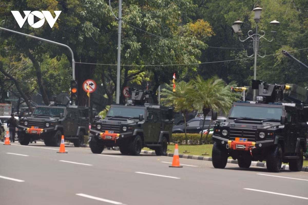 Xe tấn công đổ bộ Aligator. Ảnh: vov.vn