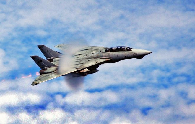 Chi tiết hơn, Grumman F-14 Tomcat là một máy bay chiến đấu mang tốc độ siêu âm, xuyên suốt quá trình phục vụ trong biên chế Không quân Mỹ, nó đã chiến đấu như một tiêm kích đánh chặn tối ưu, một chiến đấu cơ đa nhiệm xuất sắc.