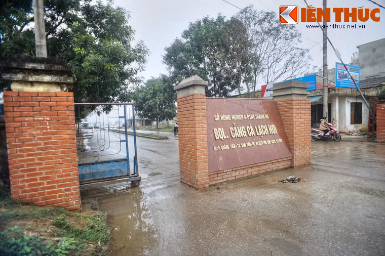 Ngày nay, cảng Lạch Hới - địa chỉ đỏ của một giai đoạn cách mạng hào hùng - đã được đầu tư xây dựng trở thành một trong những bến cảng, khu dịch vụ hậu cần nghề cá lớn nhất của tỉnh Thanh Hóa.