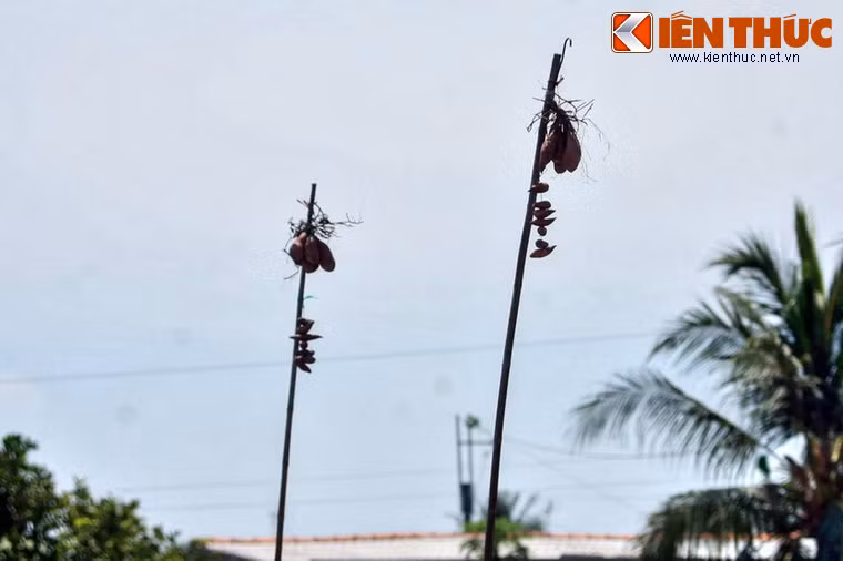 Theo thông lệ đầu mỗi chiếc ghe sẽ cắm một cọc dài, trên treo các sản phẩm được bán trên ghe. Nhờ vậy mà chỉ nhìn từ xa người đi chợ đã biết thứ mình cần mua nằm ở đâu.