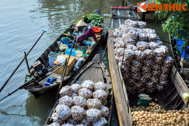 Theo các tư liệu lịch sử, chợ nổi Cái Bè được hình thành từ khoảng cuối thế kỷ 17. Thời điểm đó, vàm Cái Bè có nhiều ghe mua bán trong vùng lân cận tụ hội về đây trao đổi nông sản nên dần họp thành chợ nổi.