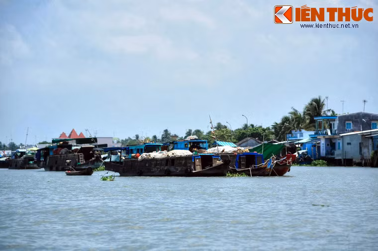 Từ con số hàng trăm, nay chỉ còn vài chục ghe thuyền thường xuyên buôn bán ở chợ nổi Cái Bè...
