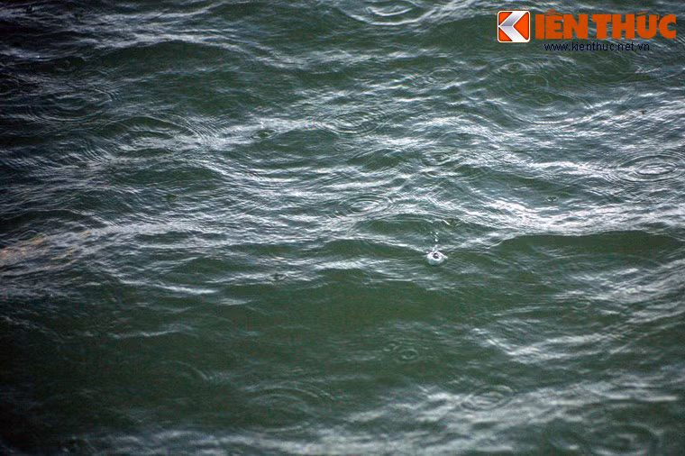 Ngược dòng lịch sử, vào đầu năm 1785, nhận lời cầu viện của chúa Nguyễn Phúc Ánh, hàng vạn quân Xiêm La (Thái Lan ngày nay) đã rầm rộ kéo sang Việt Nam, rồi theo đường thủy tấn công căn cứ quân Tây Sơn ở Mỹ Tho bằng hàng trăm chiến thuyền lớn.