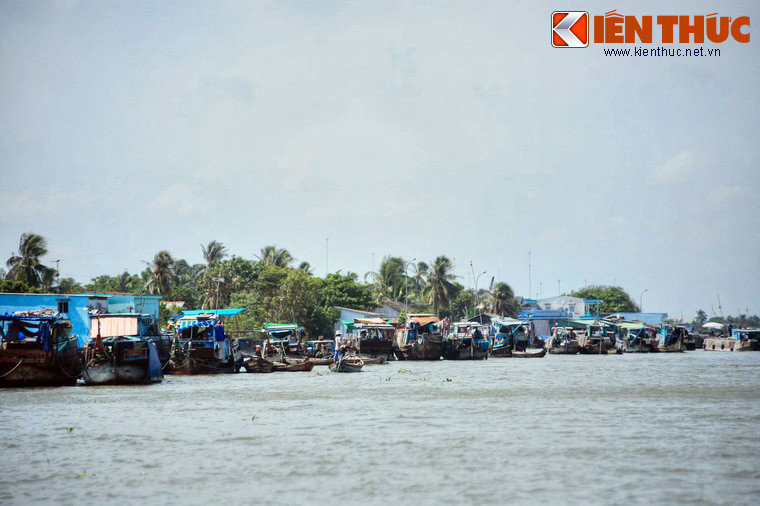 Chợ bắt đầu họp từ tờ mờ sáng, khi ghe thuyền từ nhiều nơi kéo về làm cả đoạn sông trở nên nhộn nhịp.