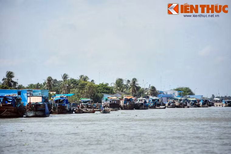 Chợ bắt đầu họp từ tờ mờ sáng, khi ghe thuyền từ nhiều nơi kéo về làm cả đoạn sông trở nên nhộn nhịp.