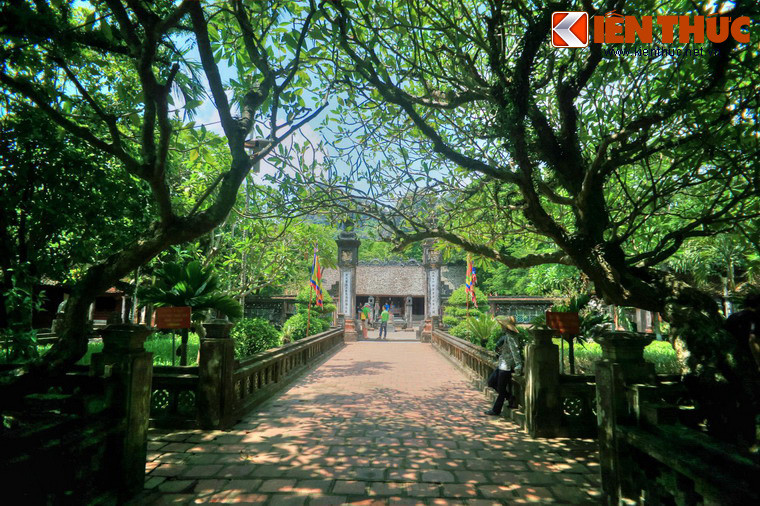 Sau Nghi môn là con đường lát gạch kết thúc với hai trụ biểu lớn. Sau trụ biểu là sân rồng.