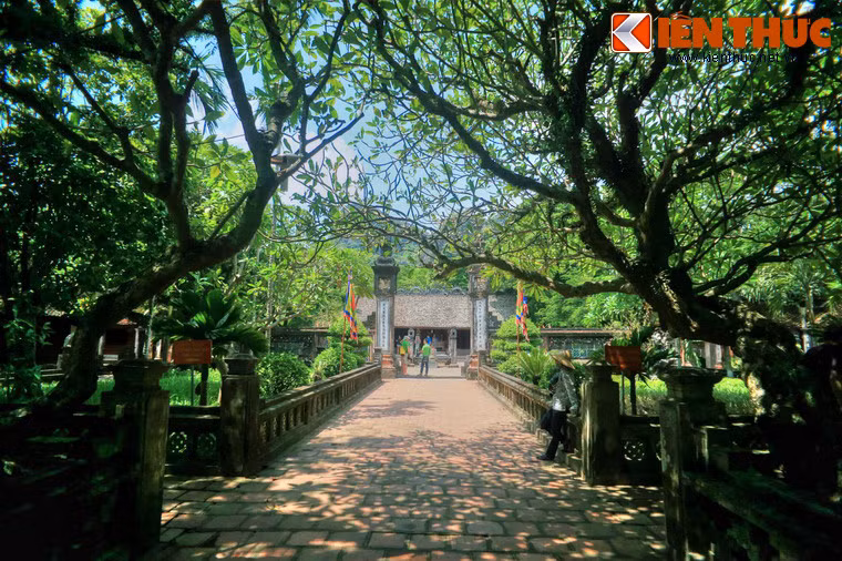 Sau Nghi môn là con đường lát gạch kết thúc với hai trụ biểu lớn. Sau trụ biểu là sân rồng.