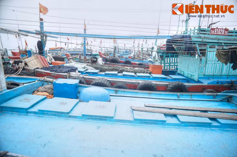 Trước khi ra Bắc, đồng chí Phan Văn Khải đã tham gia cách mạng từ năm 1947, khởi đầu ở Đội Thiếu nhi cứu quốc của xã. Năm 1950, đồng chí gia nhập tỉnh đoàn thanh niên Gia Định, Văn phòng Mặt trận, Văn phòng Tỉnh ủy Gia Định Ninh.