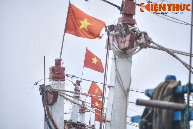 Từ bến cảng lịch sử ở Thanh Hóa, một chặng đường cách mạng mới đã mở ra trước mắt chàng cán bộ trẻ đến từ mảnh đất Củ Chi, người sau này sẽ trở thành Thủ tướng nước CHXHCN Việt Nam từ năm 1997-2006.