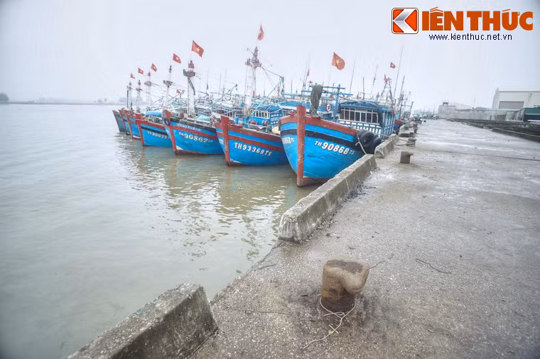 Ngược dòng lịch sử, sau hiệp định Geneve năm 1954, đất nước ta tạm thời bị chia cắt làm 2 miền. Cảng Lạch Hới được giao nhiệm vụ là địa điểm duy nhất đón cán bộ, chiến sỹ, học sinh, sinh viên... miền Nam đã tham gia kháng chiến chống Pháp tập kết ra Bắc.