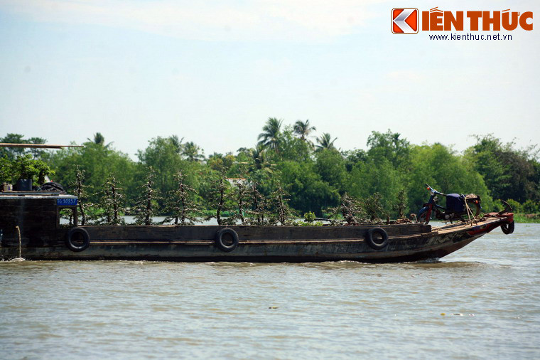 Rạch Gầm - Xoài Mút là tên gọi một đoạn sông Tiền, giới hạn bởi sông nhánh nhỏ là sông Rạch Gầm và sông Xoài Mút, ngày nay nằm giữa địa phận thành phố Mỹ Tho và huyện Châu Thành, tỉnh Tiền Giang.