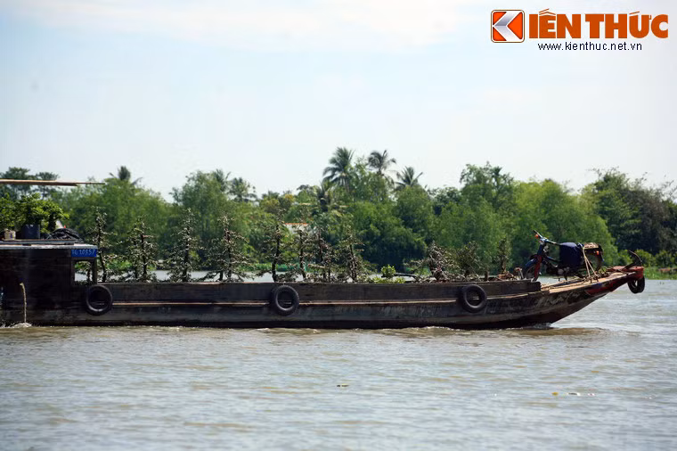 Rạch Gầm - Xoài Mút là tên gọi một đoạn sông Tiền, giới hạn bởi sông nhánh nhỏ là sông Rạch Gầm và sông Xoài Mút, ngày nay nằm giữa địa phận thành phố Mỹ Tho và huyện Châu Thành, tỉnh Tiền Giang.