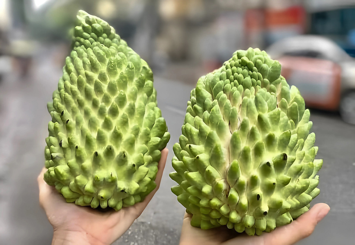 Na sầu riêng từng có giá 500 nghìn/kg, nay thành hàng bình dân Na sau rieng tung co gia 500 nghin/kg, nay thanh hang binh dan