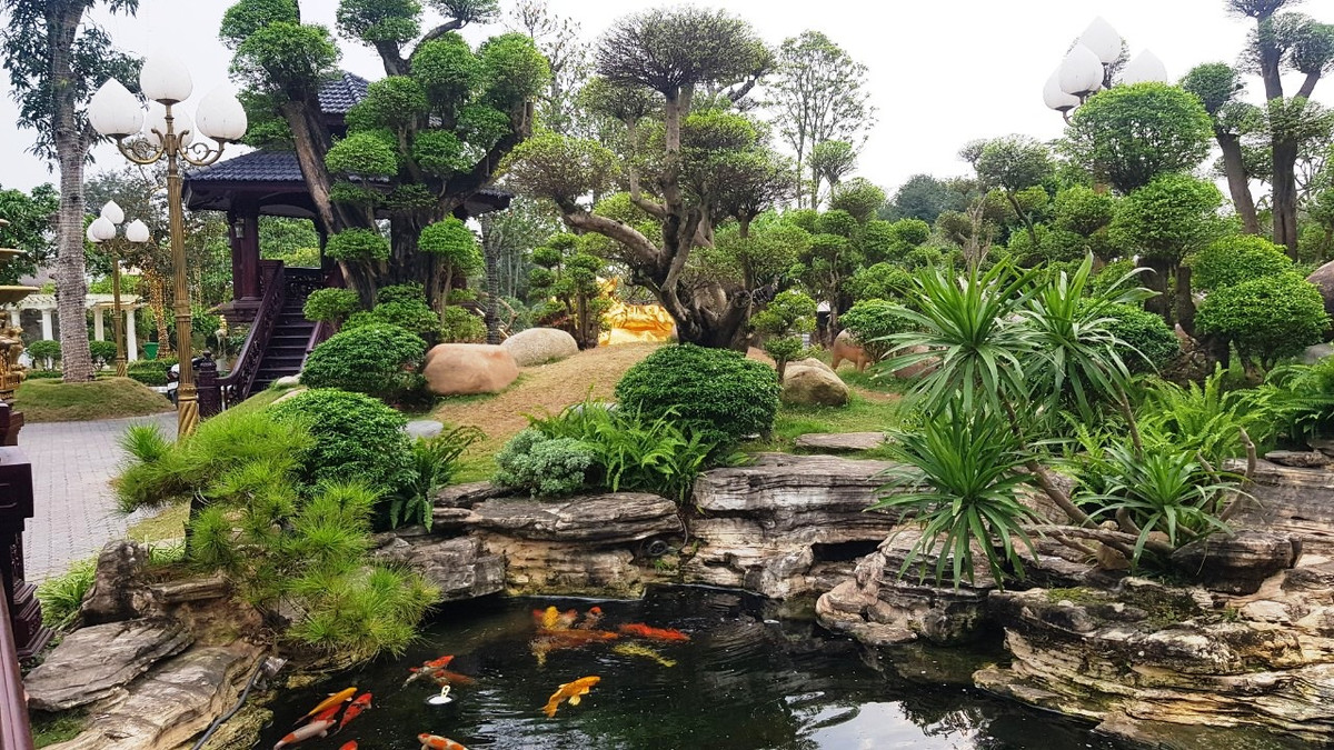 Công viên Ô Mễ cũng có bể cá Koi hàng trăm con được đắp đá nhân tạo, bể cả hải tượng có con nặng đến cả tạ, đôi thiên nga, chim công, gà rừng, khỉ, chuồng chim chào mào hàng chục con… 