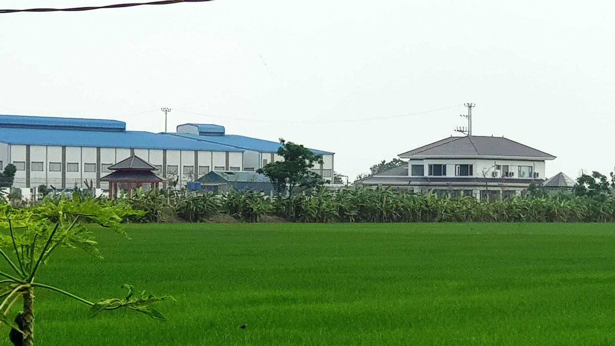 Hai Duong: Mua lai dat nong nghiep… de xay biet thu hoanh trang