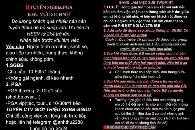 Vy thỏa thuận tiền công môi giới với khách như sau: 500.000 đồng cho một lần mua bán dâm; một triệu đồng cho một đêm mua bán dâm; 2 triệu đồng/tháng cho khách có nhu cầu quan hệ lâu dài cùng một người; 1,5-2 triệu đồng/ngày cho khách muốn dẫn người bán dâm cùng đi du lịch. Khi các giao dịch thành công, Nhật Vy cắt hoa hồng của gái bán dâm từ 10-20%. 