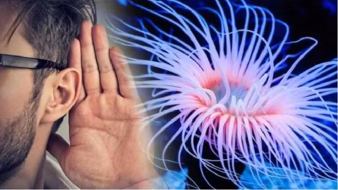 Phát hiện liên hệ gây sốc giữa con người và quái vật biết mọc lại đầu Phat hien lien he gay soc giua con nguoi va quai vat biet moc lai dau