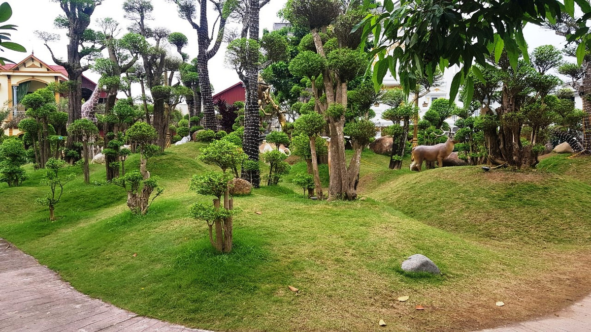 Người dân làng Ô Mễ khi nói đến anh Chiến đều dành những tình cảm tốt đẹp bởi những gì người đàn ông này đóng góp cho quê hương.