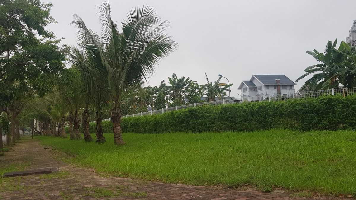 Dù đã có hàng cây xanh làm hàng rào nhưng chủ đầu tư vẫn quây khu biệt thự bằng tường rào sắt chắc chắn.