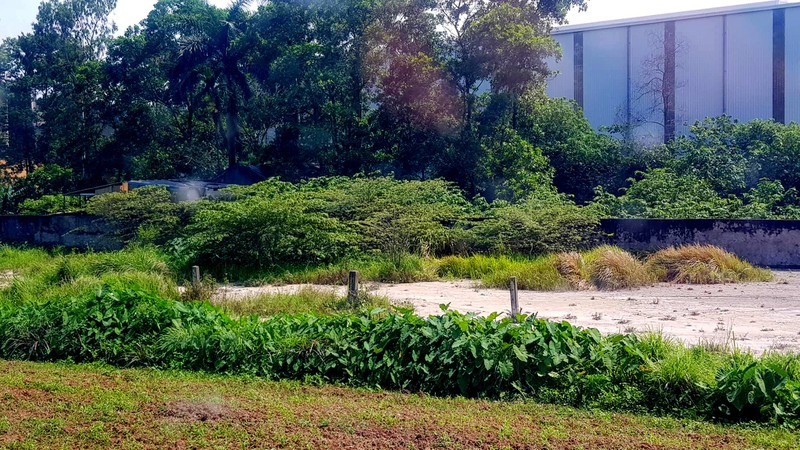 Be tong Ha Hai xa nuoc thai, can ba: Chu tich tinh Hai Duong chi dao xu ly-Hinh-4