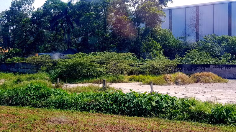 Be tong Ha Hai xa nuoc thai, can ba: Chu tich tinh Hai Duong chi dao xu ly-Hinh-4