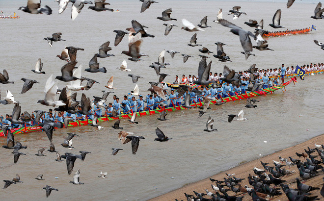 Chim bồ câu bay trên bầu trời khi mọi người tham gia lễ hội Nước trên sông Tonle Sap ở thành phố Phnom Penh, Campuchia. (Nguồn Guardian)