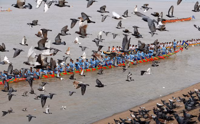 Chim bồ câu bay trên bầu trời khi mọi người tham gia lễ hội Nước trên sông Tonle Sap ở thành phố Phnom Penh, Campuchia. (Nguồn Guardian)